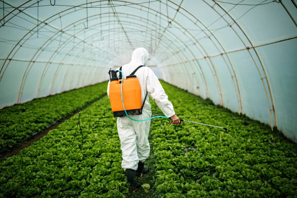 Best Best Pest Control Companies  in Avenue B And C, AZ