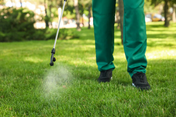 Best Affordable Pest Control Services  in Avenue B And C, AZ
