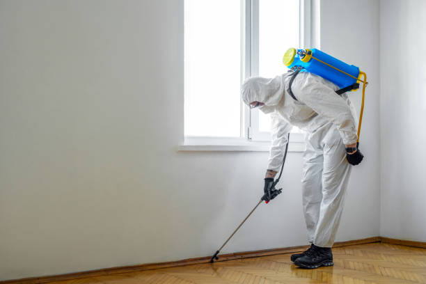 Best Termite Control Services  in Avenue B And C, AZ