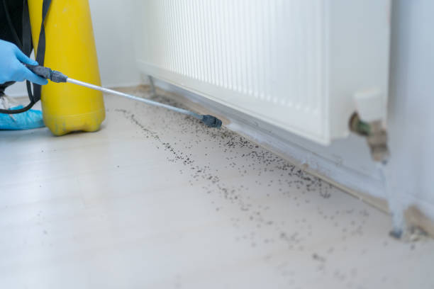 Best Commercial Pest Control Services  in Avenue B And C, AZ