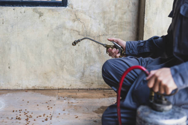 Best Residential Pest Control  in Avenue B And C, AZ